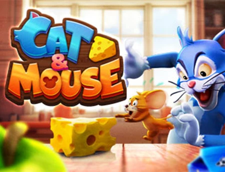 Cat & Mouse
