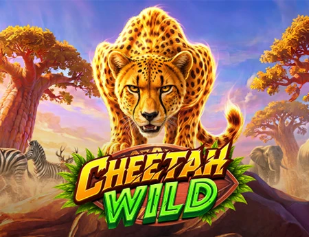 Cheetah Wild