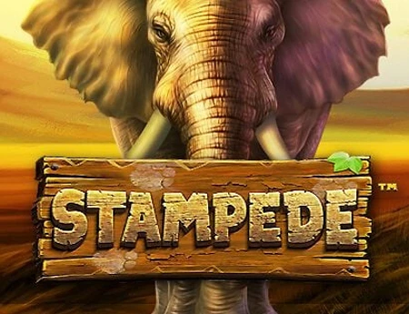 Stampede